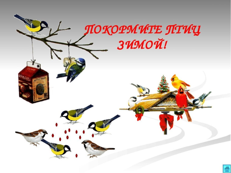 Покормите птиц зимой.