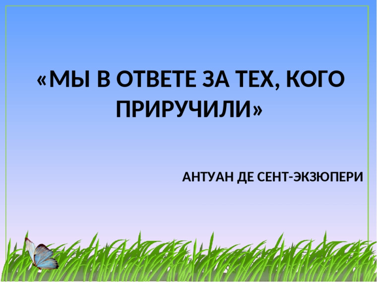 Мы в ответе за тех, кого приручили.