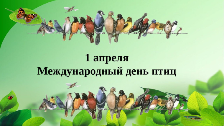 Международный день птиц.