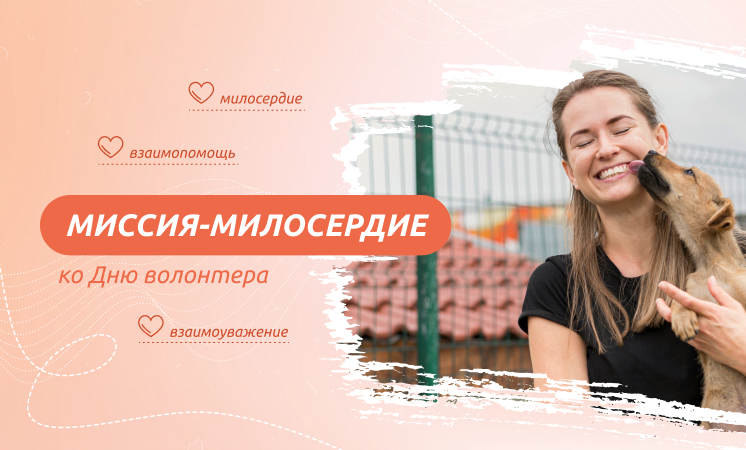 Разговоры о важном «Миссия – милосердие».